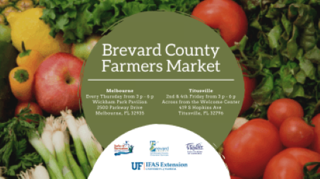 Brevard County’s Farmer Market