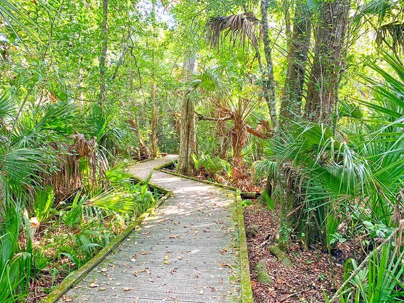 Visit the Enchanted Forest Sanctuary in Titusville, Florida