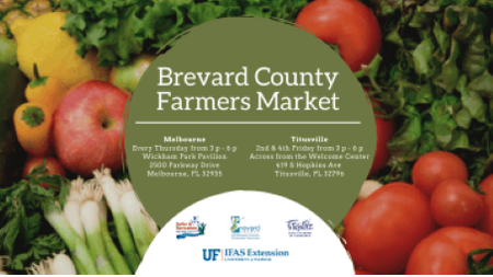 Brevard County’s Farmer Market