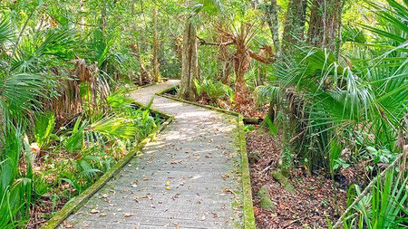 Visit the Enchanted Forest Sanctuary in Titusville, Florida