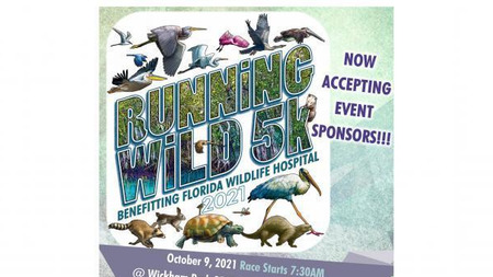 2021 Running  Wild 5k at Wickham Park in Melbourne, Florida
