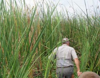 Captain Mike Snake Hunting