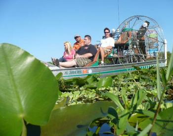 Frogs Eye View