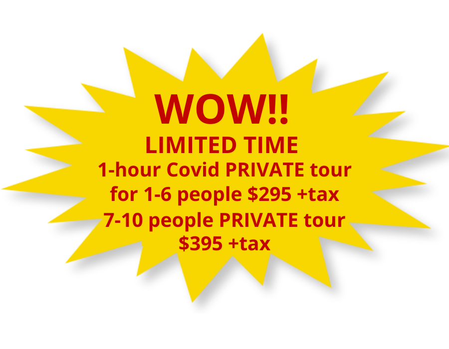 Covid Private Tour for 1-6 people: $295; 7-10 people: $395