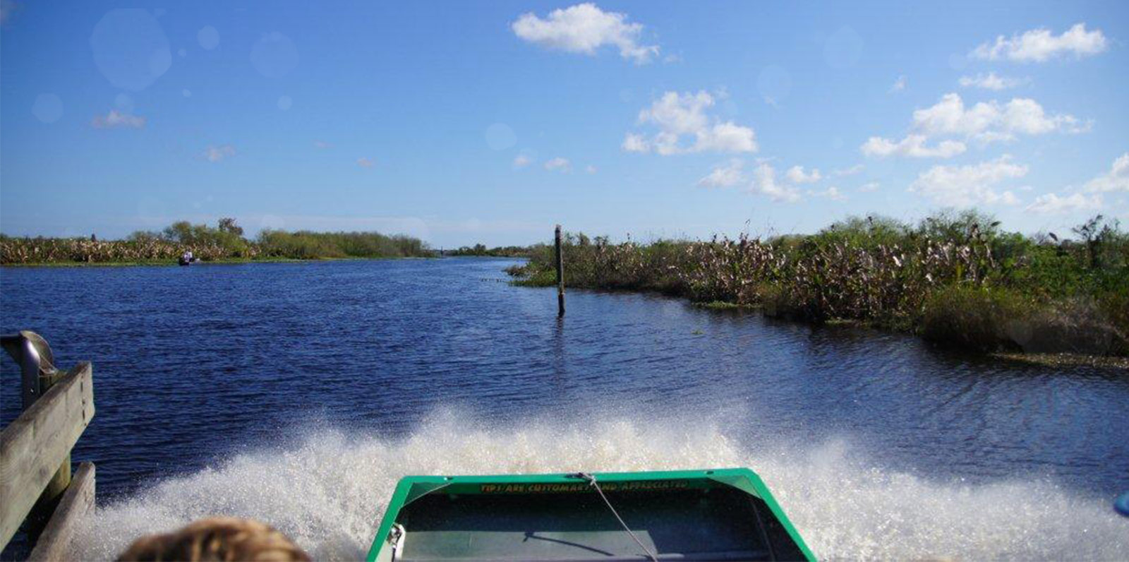 Airboat Tours