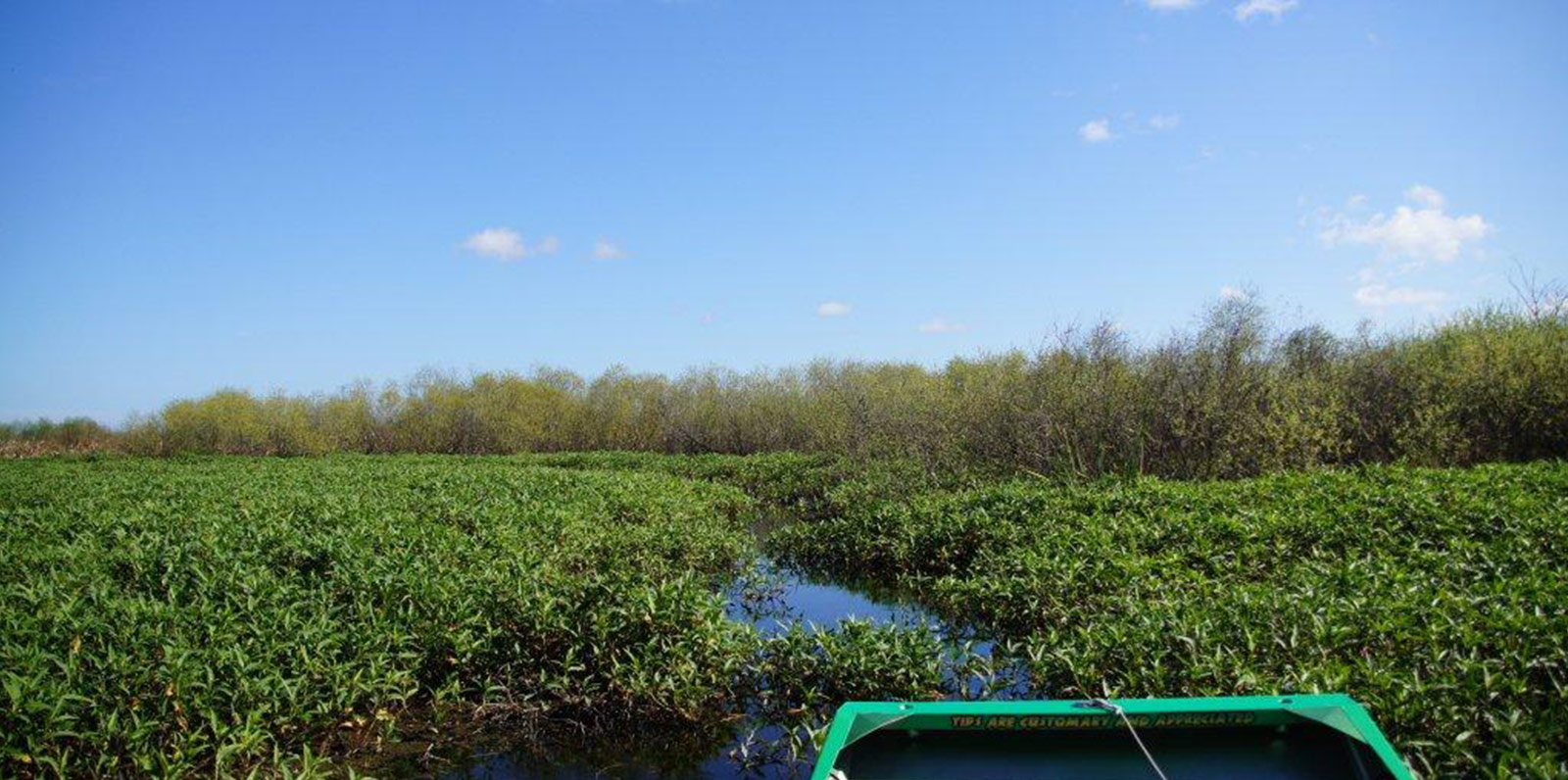 Swamp Ride